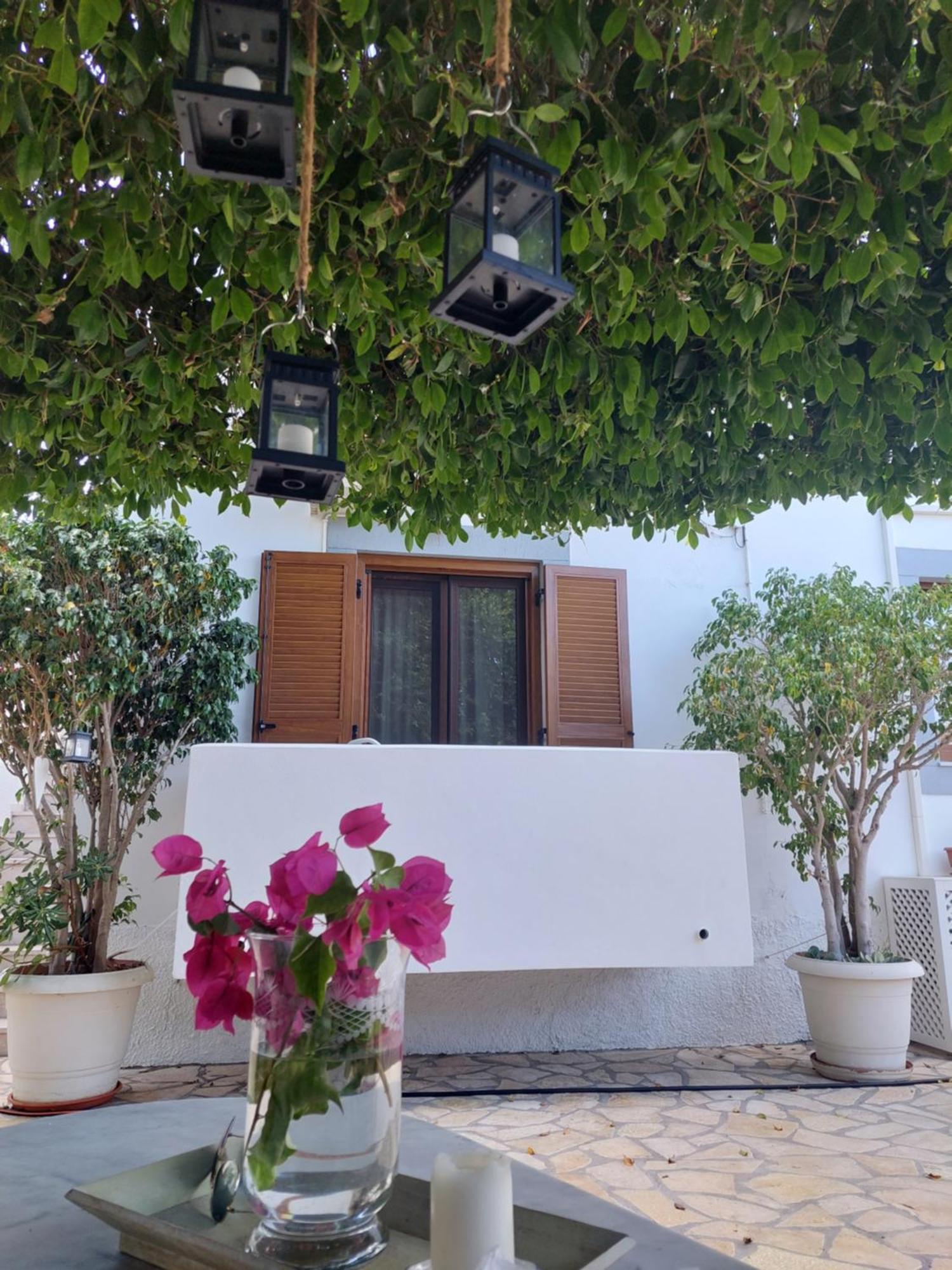 Stefanos Katsaros Studios Скала Номер фото